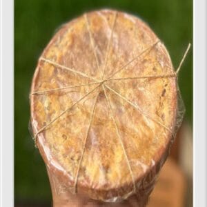 বগুড়ার ছোট সরা দই/Bogura's famous 'Shora Doi'